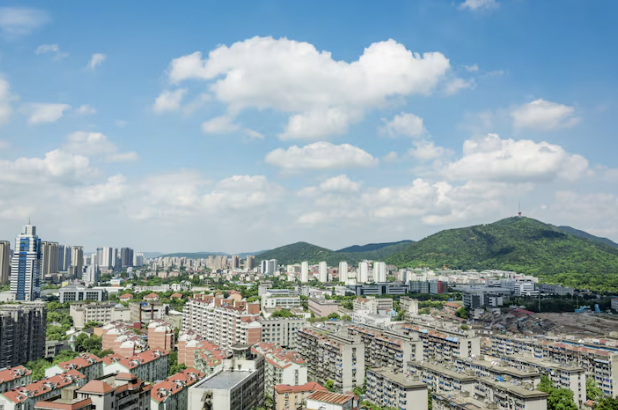 現地踏査・情報収集